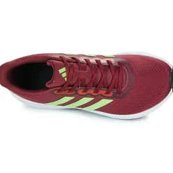 Chaussures De Sport^adidas Performance - RUNFALCON 3.0 Bordeaux