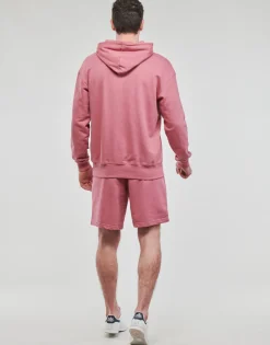 Sweats & Polaires^Adidas Sportswear - ALL SZN HD Bordeauxclair
