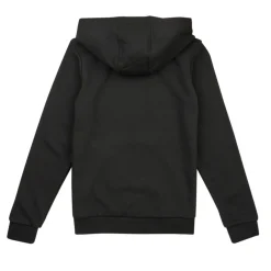 Sweats & Polaires^Adidas Sportswear - BL HOODIE Noir