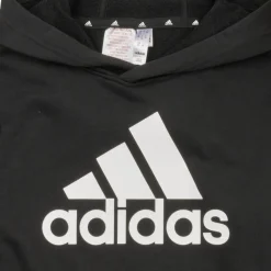 Sweats & Polaires^Adidas Sportswear - BL HOODIE Noir