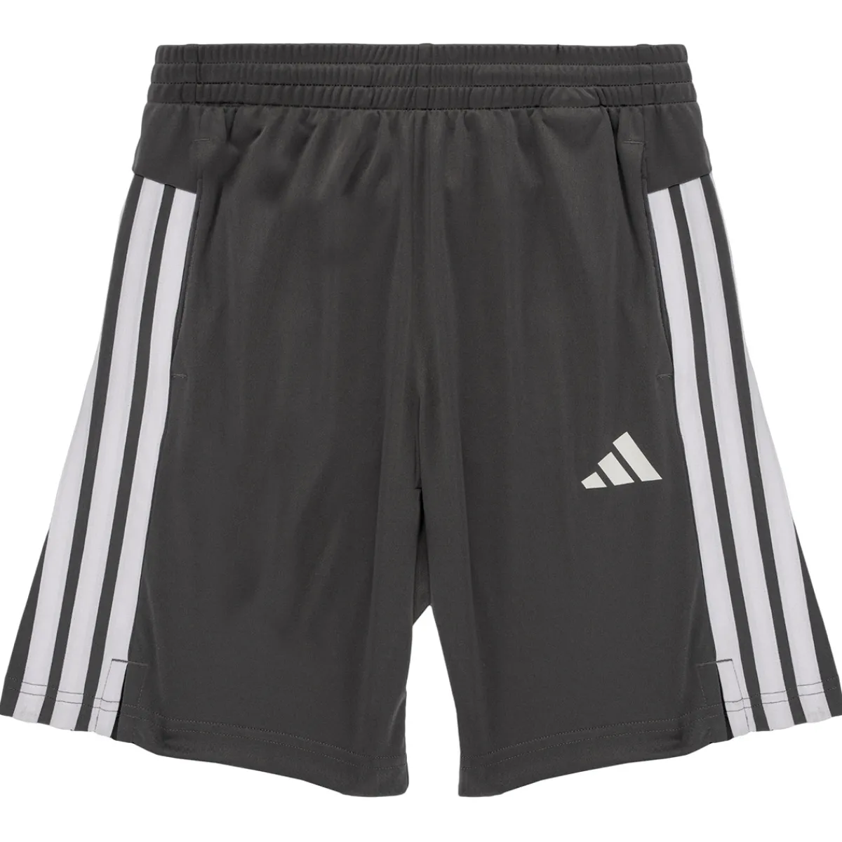 Shorts & Bermudas^Adidas Sportswear - JJ1039 Gris