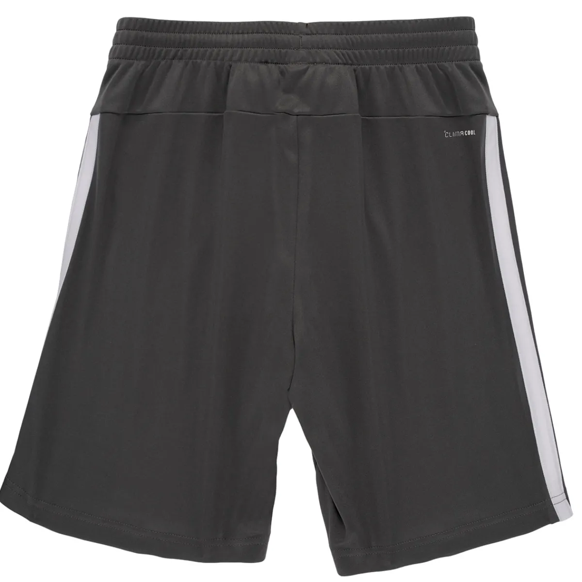 Shorts & Bermudas^Adidas Sportswear - JJ1039 Gris