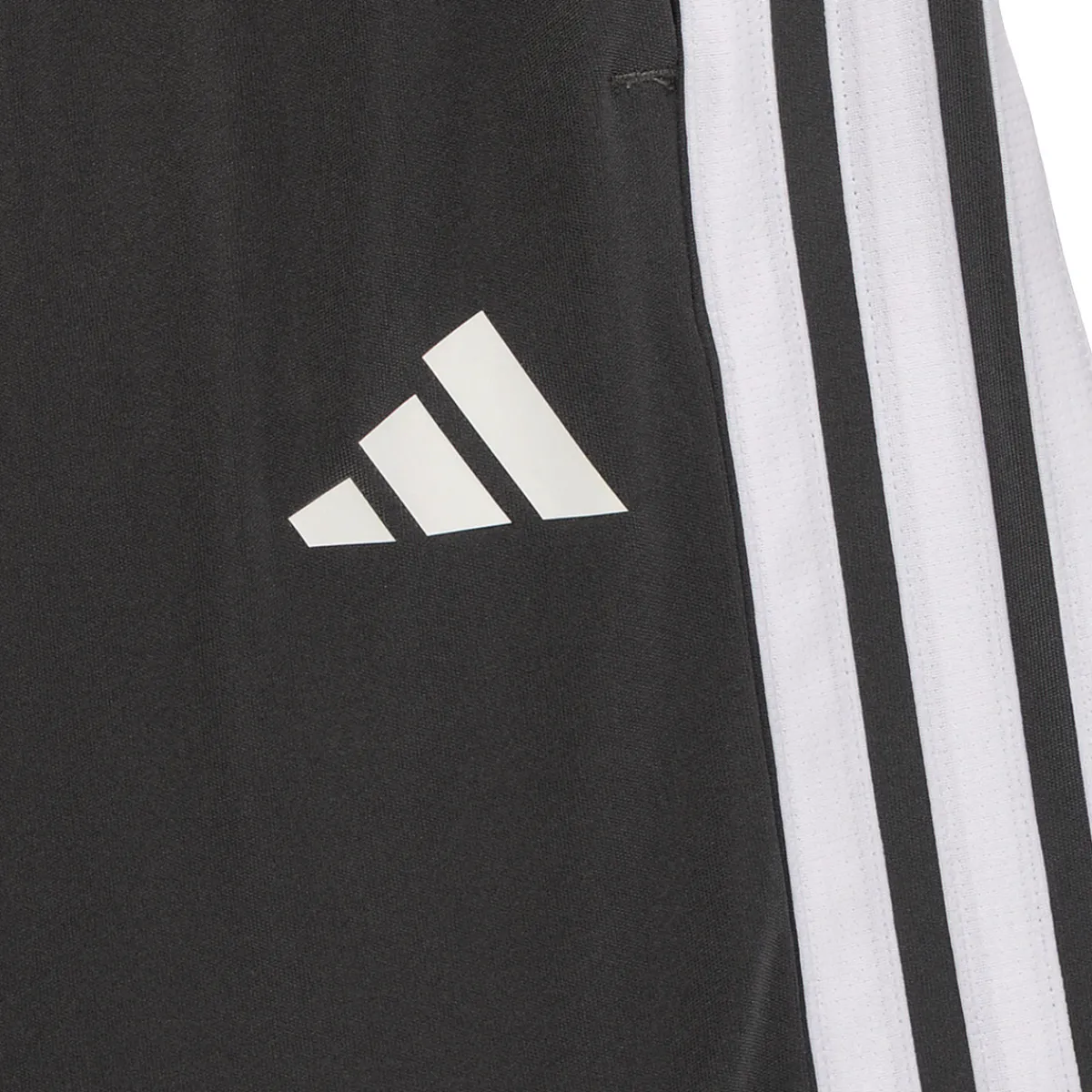 Shorts & Bermudas^Adidas Sportswear - JJ1039 Gris