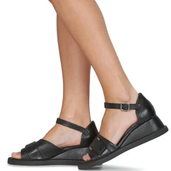 Sandales Et Nu-pieds^Airstep / A.S.98 - CORAL BUCKLE Noir