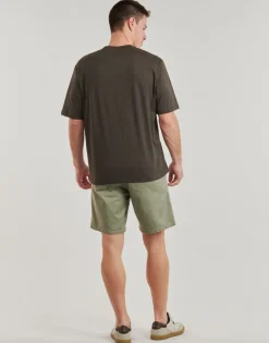 T-shirts & Polos^Armani Exchange - XM000772 Kaki