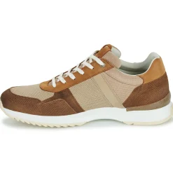 Baskets Mode^Bullboxer - DEAN CUP LOW M Marron