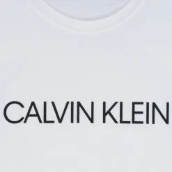 T-shirts & Polos^Calvin Klein Jeans - INSTITUTIONAL T-SHIRT Blanc