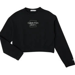 Sweats & Polaires^Calvin Klein Jeans - METALLIC BOX LOGO SWEATSHIRT Noir