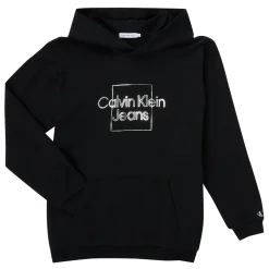 Sweats & Polaires^Calvin Klein Jeans - METALLIC BOX LOGO RELAXED HOODIE Noir