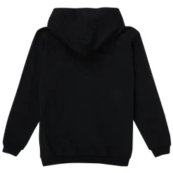 Sweats & Polaires^Calvin Klein Jeans - METALLIC BOX LOGO RELAXED HOODIE Noir