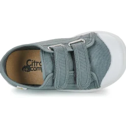 Baskets Mode^Citrouille et Compagnie - GLASSIA Gris