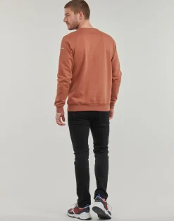 Sweats & Polaires^Columbia - CSC Basic Logo II Hoodie Marron