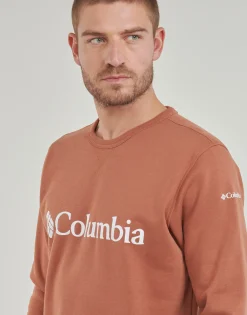 Sweats & Polaires^Columbia - CSC Basic Logo II Hoodie Marron