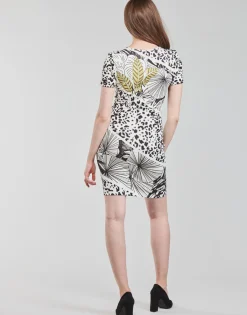 Robes^Desigual - WILD Multicolore