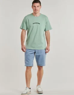 Shorts & Bermudas^Dickies - GARYVILLE DENIM SHORT Bleujean