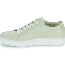 Baskets Mode^Ecco - 219203-01579 Vert
