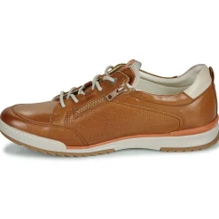 Baskets Mode^Fluchos - ELDER Marron
