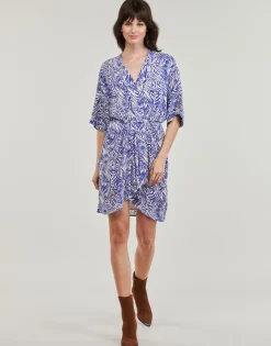 Robes^Freeman T.Porter - ROZA ZEBRURE Bleu