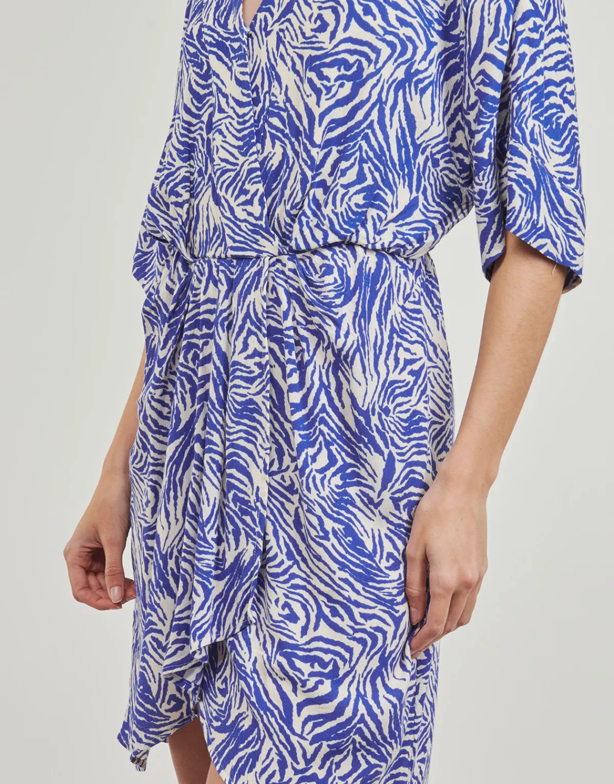 Robes^Freeman T.Porter - ROZA ZEBRURE Bleu