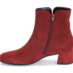 Bottines / Boots^Gabor - 55680 Bordeaux