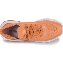 Baskets Mode^Geox - D SPHERICA ACTIF Pêche