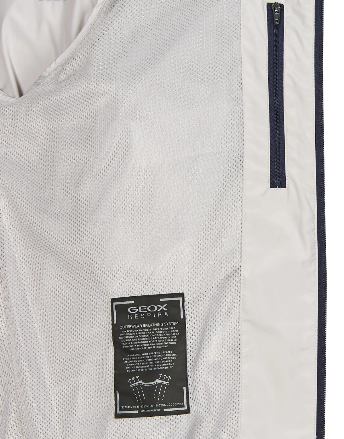 Vestes^Geox - M JHARROD BOMBER Gris