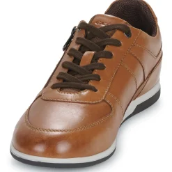 Baskets Mode^Geox - U RENAN Marron