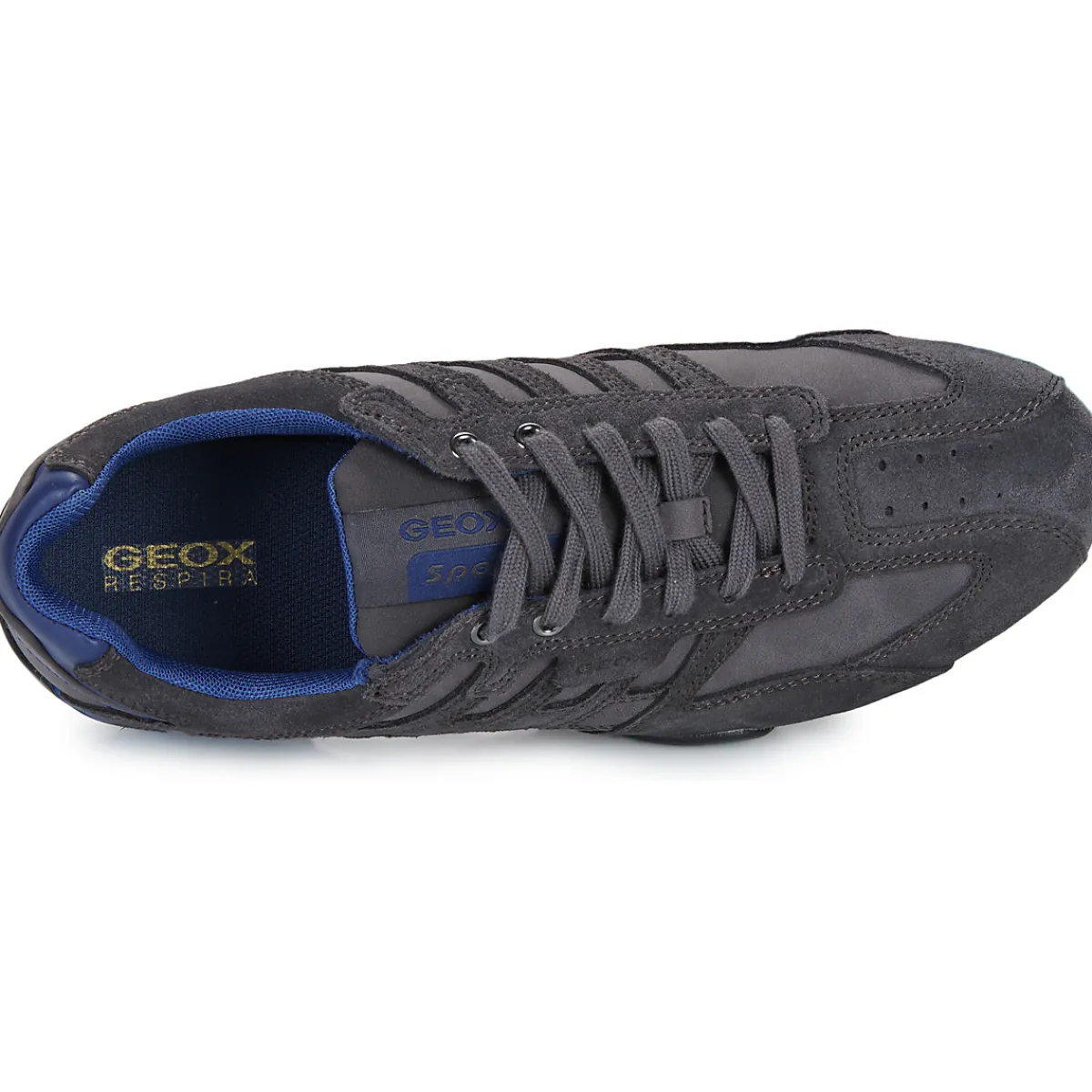 Baskets Mode^Geox - UOMO SNAKE