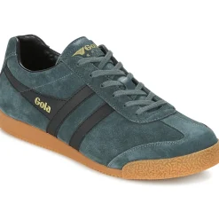 Baskets Mode^Gola - HARRIER