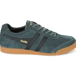 Baskets Mode^Gola - HARRIER