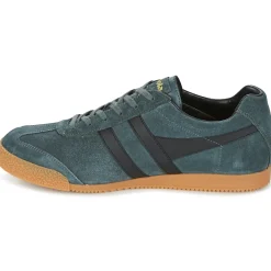 Baskets Mode^Gola - HARRIER