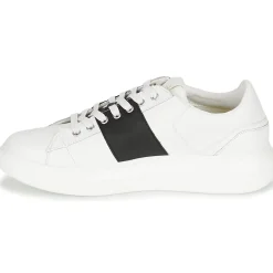 Baskets Mode^Guess - SALERNO