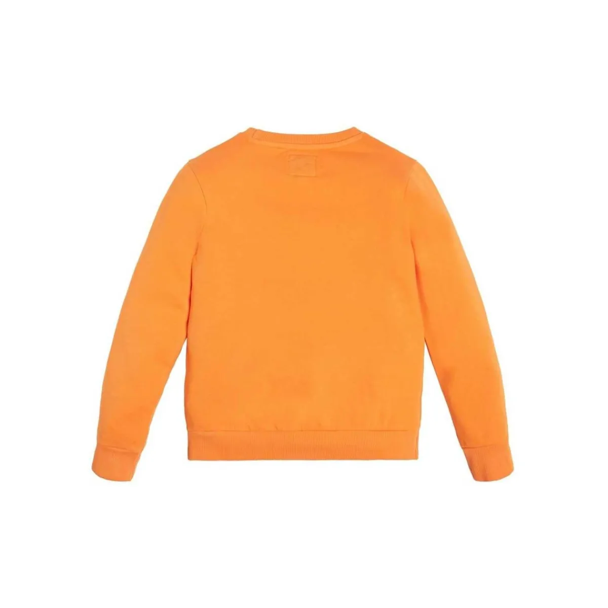Sweats & Polaires^Guess - SWEAT Orange