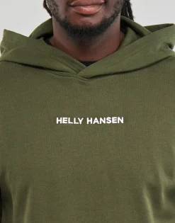 Sweats & Polaires^Helly Hansen - CORE GRAPHIC SWEAT HOODIE Kaki