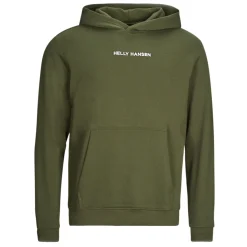 Sweats & Polaires^Helly Hansen - CORE GRAPHIC SWEAT HOODIE Kaki
