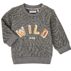 Sweats & Polaires^Ikks - XR15001 Gris
