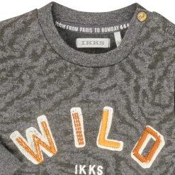 Sweats & Polaires^Ikks - XR15001 Gris