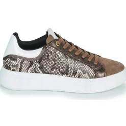Baskets Mode^JB Martin - HIBISCUS MIXPYTHONMARRON