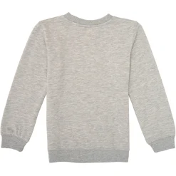 Sweats & Polaires^Levi's - BATWING CREWNECK Gris
