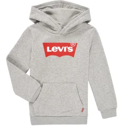 Sweats & Polaires^Levi's - BATWING SCREENPRINT HOODIE Gris