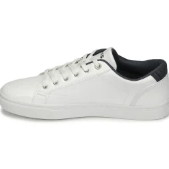 Baskets Mode^Levi's - COURTRIGHT