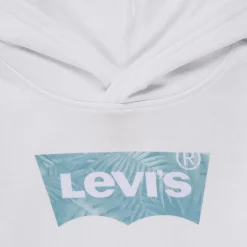 Sweats & Polaires^Levi's - PALM BATWING FILL HOODIE