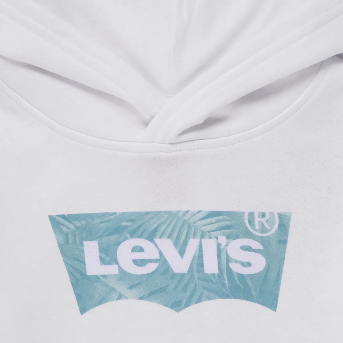 Sweats & Polaires^Levi's - PALM BATWING FILL HOODIE