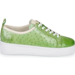 Baskets Mode^Melvin & Hamilton - AMBER 6 Vert