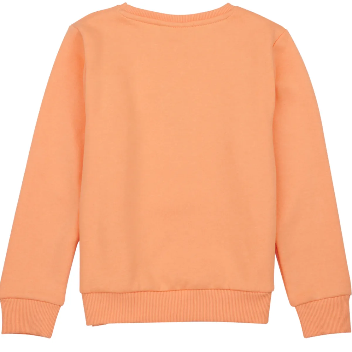 Sweats & Polaires^Name it - NKFLOFFINA LS SWE BRU PS Orange