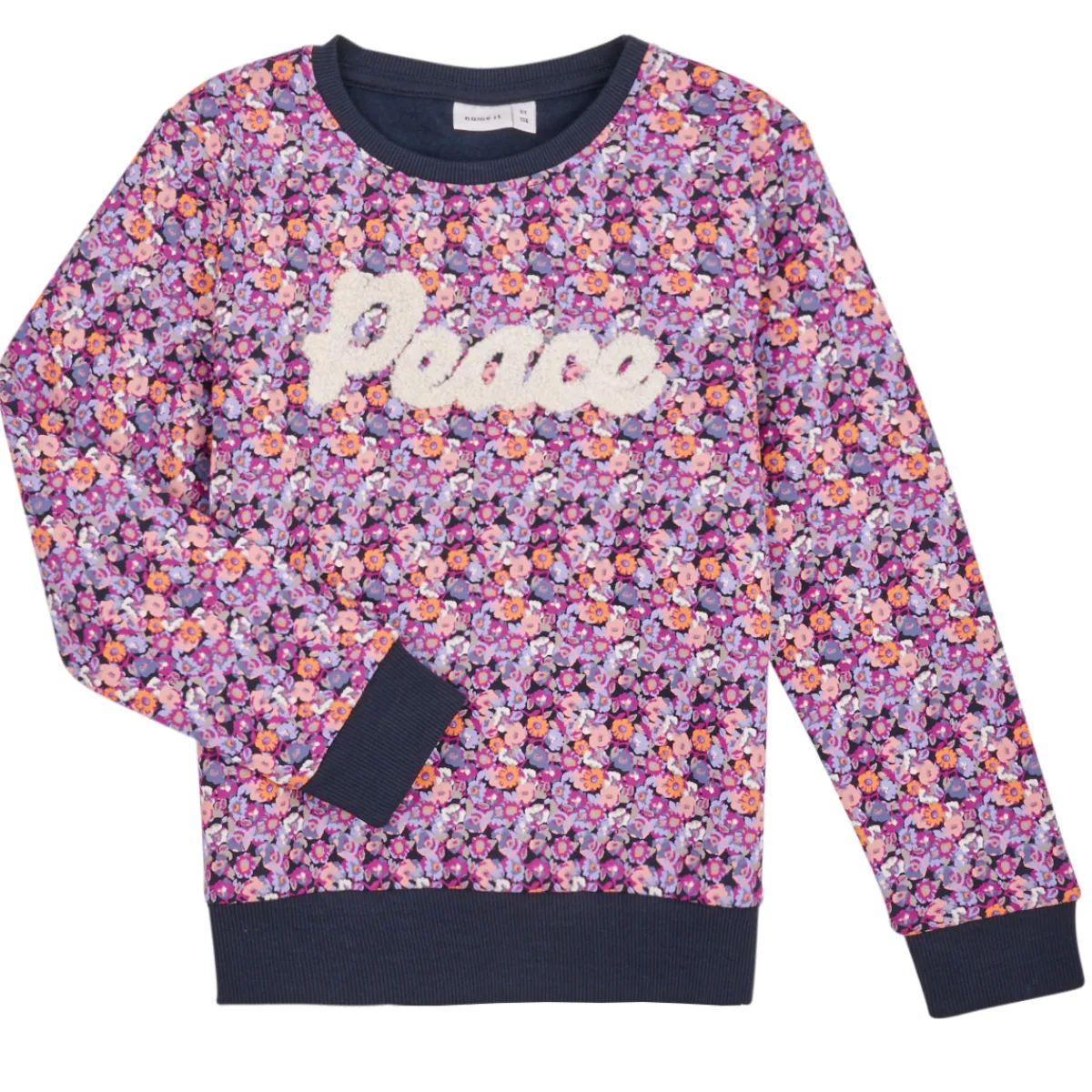 Sweats & Polaires^Name it - NKFTINIBA LS SWE BRU PS Multicolore