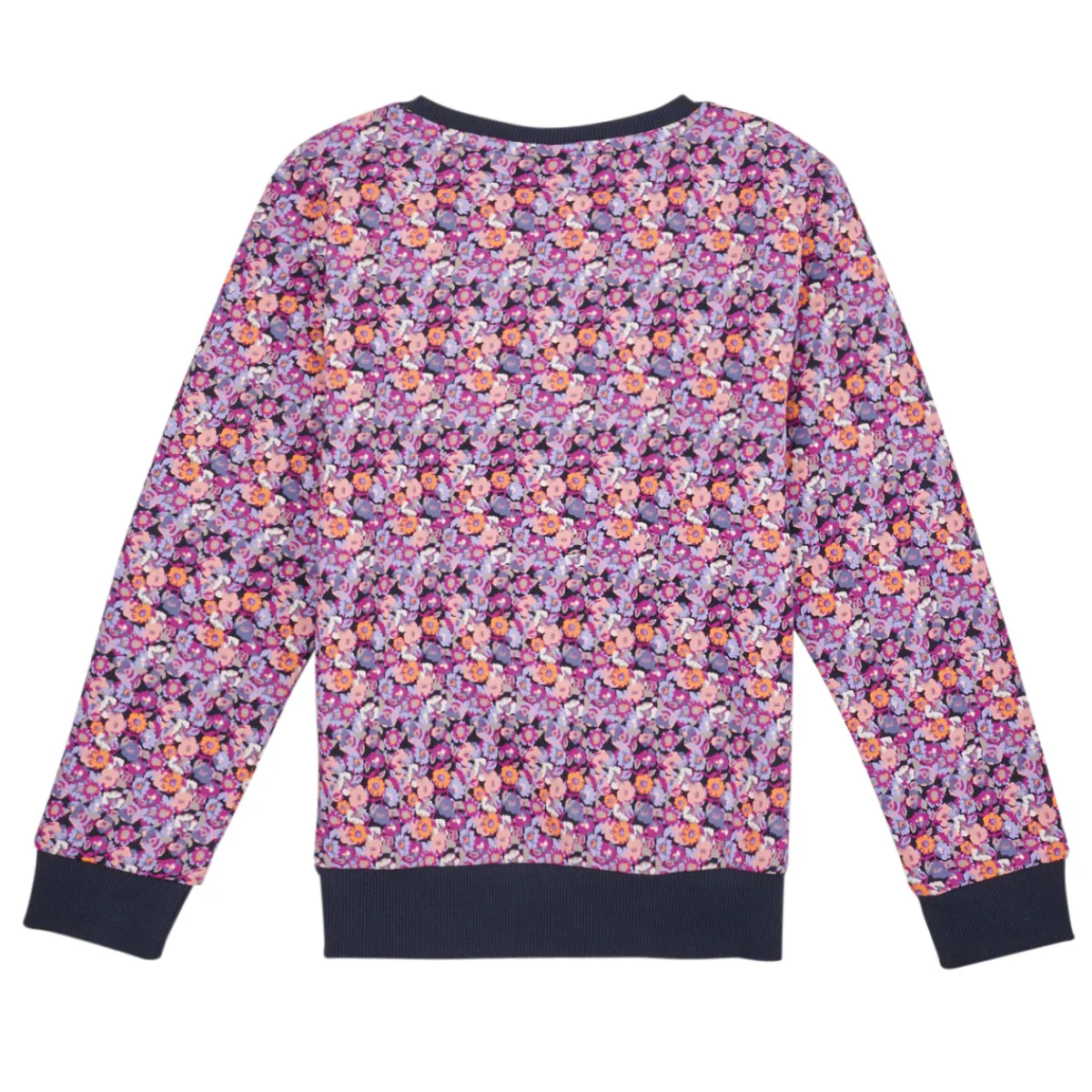 Sweats & Polaires^Name it - NKFTINIBA LS SWE BRU PS Multicolore