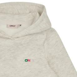 Sweats & Polaires^Only - KOGNOOMI L/S LOGO HOOD SWT NOOS Beige