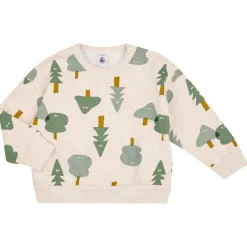 Sweats & Polaires^Petit Bateau - TIGRO Gris