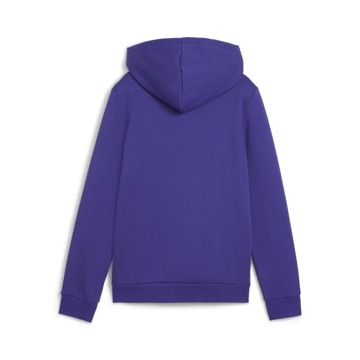 Sweats & Polaires^Puma - ESS+ CAMO HOODIE FL Bleu